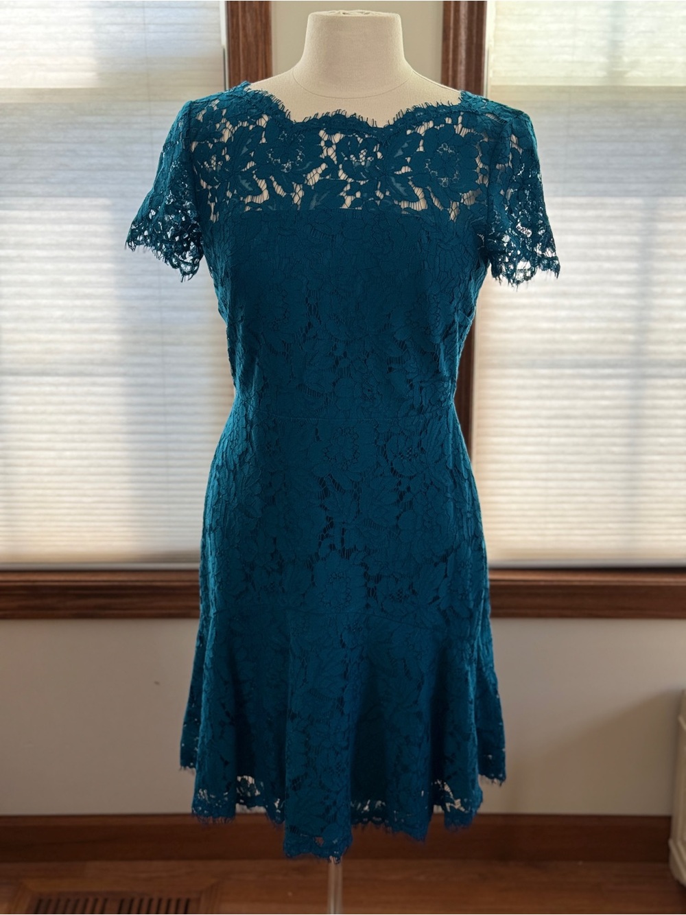 Diane von Furstenberg DVF Size 6 Fifi Peacock Floral Lace Fit & Flare Dress